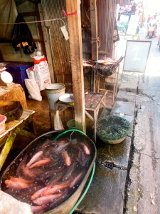 Fresh Fish Cooked Chiang Mai