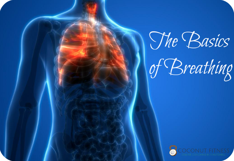 Correct Breathing pattern diaphragmatic breathing